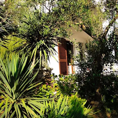 Lägenhet Adrialuka Dubrava (Dubrovnik-Neretva)